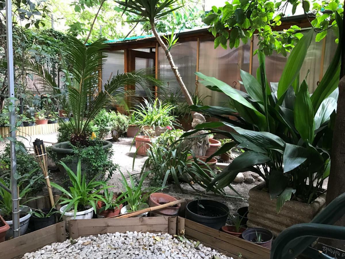 La Casa Di Elena 호텔 로마 외부 사진